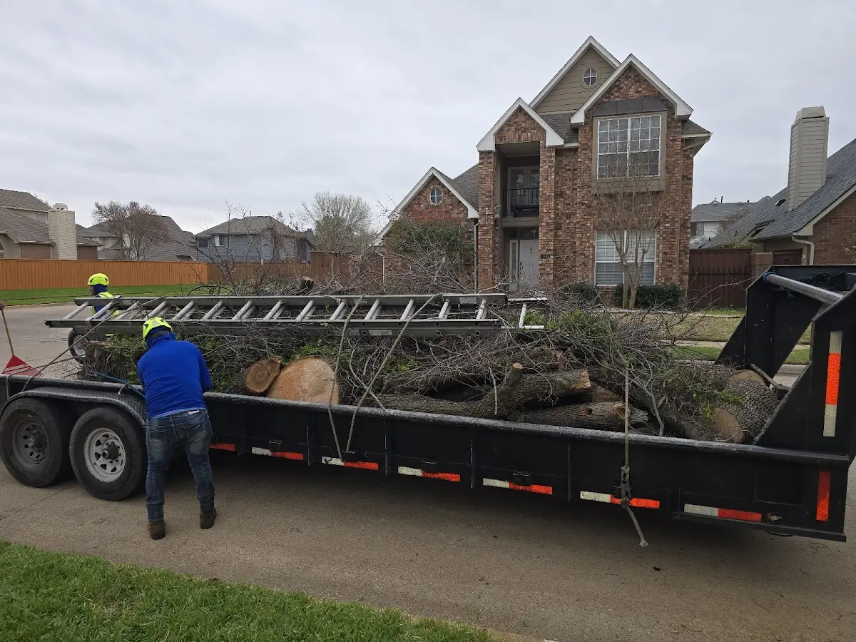 Expert Lot Clearing with proper safety equipment in Danforth